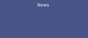 News Sachverständiger Dr. Haack