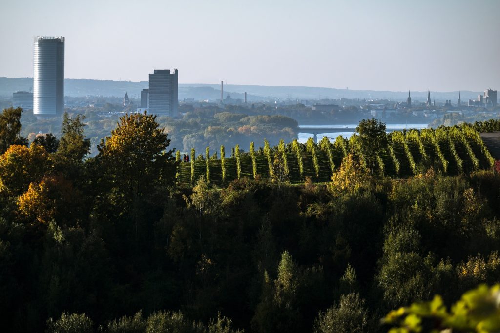 Bonn Skyline